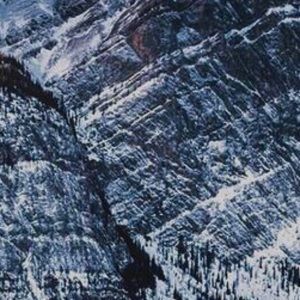 Meet your Posher, Maddie